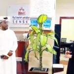 د. خالد السلامي ممثل المركز العربي الأوروبي في الامارات يزور مركز “المشاعر الإنسانية