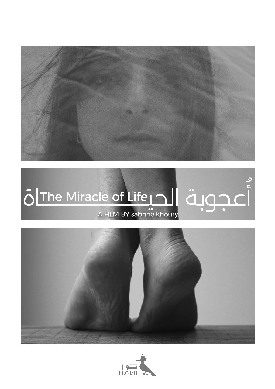 العرض العالمي الأول لفيلم أعجوبة الحياة بمهرجان بيروت الدولي لسينما المرأة بلبنان